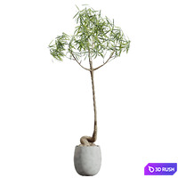 thumb image