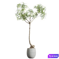 thumb image
