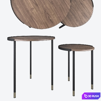 Set of 2 tables ALINER CC0756M46, La Forma 3D Model