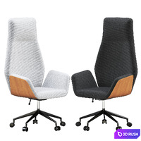 Ginkgo Conference chair 3D Model Vray, Corona