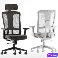 Dellis Office Chairs 3D Model Corona