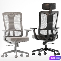 Dellis Office Chairs 3D Model Corona