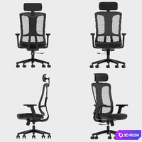 Dellis Office Chairs 3D Model Corona
