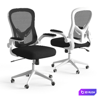 Xiaomi HBADA Ergonomic Double-Waisted Computer Chair HDNY163WM