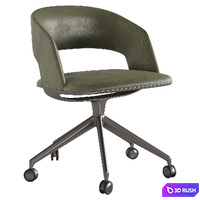 Alma leather 3D Model Corona