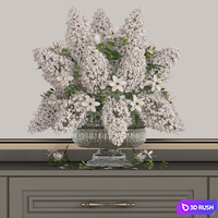Wardrobe 148-Vray 3D Model Vray