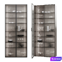 Showcase/Closet 3D Model Corona