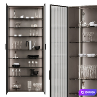 Showcase/Closet 3D Model Corona