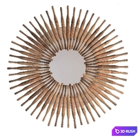 Mirror sunlight 3D Model Corona