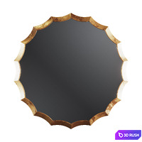 Mirror_HCHBZGH 3D Model Corona