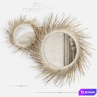 Mirror Dry Grass 3D Model Vray, Corona