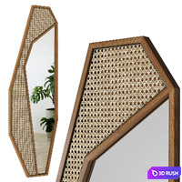 Mirror Rattan Cactus / Cactus 3D Model Corona