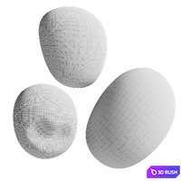 Pebble ceiling and wall lamp 3D Model Corona