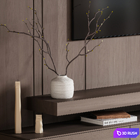 TV Set 010 3D Model Vray, Corona