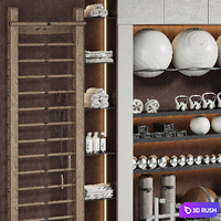 A Rack with Gym Equipment 01 3D Model Vray, Corona