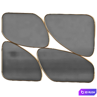 Chaotic mirror 3D Model Corona