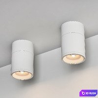 Ceiling Lamps CENTRSVET_12 3D Model Vray