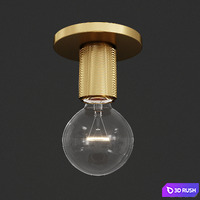 RH Utilitaire Socket Flushmount Brass 3D Model Corona