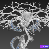 SERIP CT3351-17 3D Model Vray, Corona
