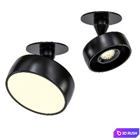 Myco IN 3D Model