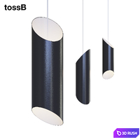 TossB FINAL CUT 3D Model Corona