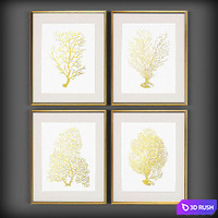 Pictures 3D Model Vray