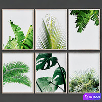 Tropical Leaves 3D Model Vray