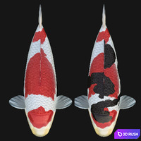 Crap koi fish (rigged) 3D Model Corona