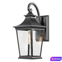 Emliviar Outdoor Wall Light 3D Model Corona