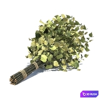 Birch broom for a bath or sauna 3D Model Corona