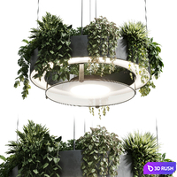 Circle pot light pendant - plant light hanging 21 3D Model Vray, Corona