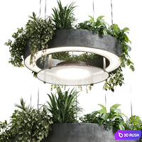Circle pot light pendant - plant light hanging 21 3D Model Vray, Corona