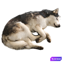 Dog 2 3D Model Corona