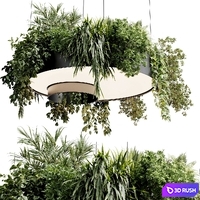 Circle pot light pendant - plant light hanging 23 3D Model Vray, Corona