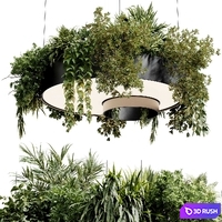 Circle pot light pendant - plant light hanging 23 3D Model Vray, Corona