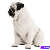 Realistic pug dog 3D Model Vray