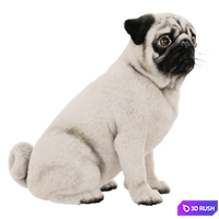 Realistic pug dog 3D Model Vray
