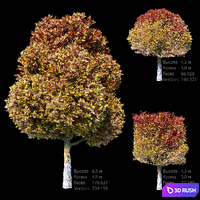Autumn set 3D Model Corona