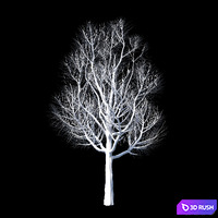 Autumn set 3D Model Corona