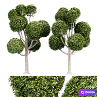 Fancy shaped decorative tree 3D Model Corona