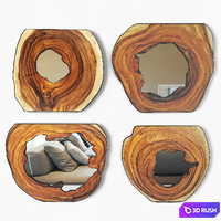Organic Monkey Pod Mirrors 3 3D Model Vray