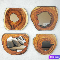 Organic Monkey Pod Mirrors 3 3D Model Vray