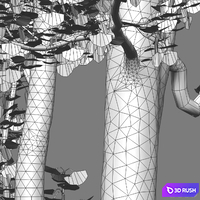 Ginkgo biloba 02 3D Model Vray, Corona