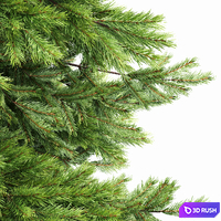 Spruce 2trees 3D Model Vray, Corona