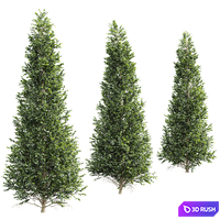 New Tree High detail Carpinus Betulus Tall 3D Model Vray, Corona