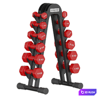 Fitness dumbbell rack for 6 pairs FLEXTER 3D Model Vray, Corona