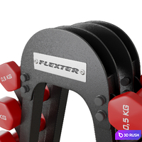 Fitness dumbbell rack for 6 pairs FLEXTER 3D Model Vray, Corona