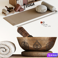 Yoga equipment 3D Model Vray, Corona