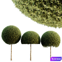 Spherical tree03 3D Model Vray, Corona