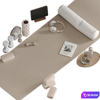 Home Yoga Set with Equipment 3D Model Vray, Corona